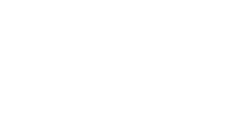 Train Driver's Diary