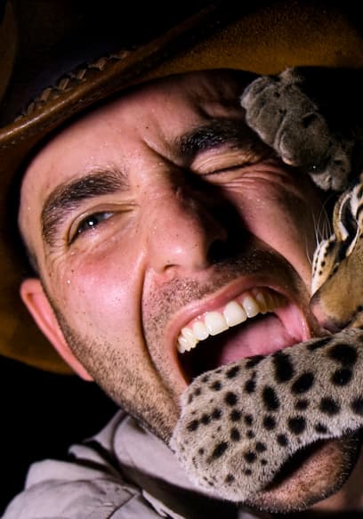 S01:E09 - Big Cats: Ocelot Attacks & Cheetah Meals poster