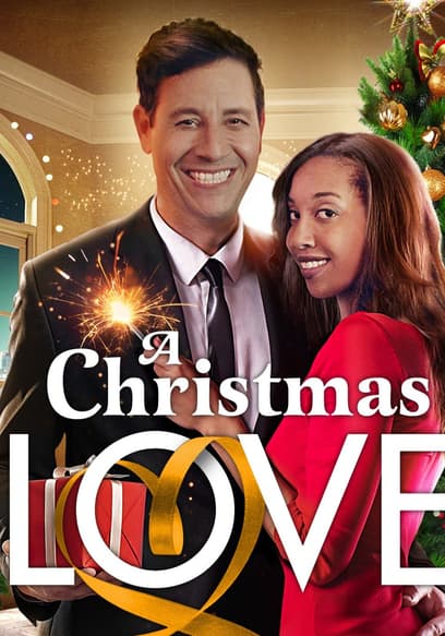 A Christmas Love