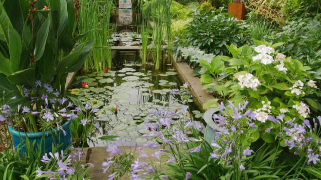 S08:E14 - Episode 14