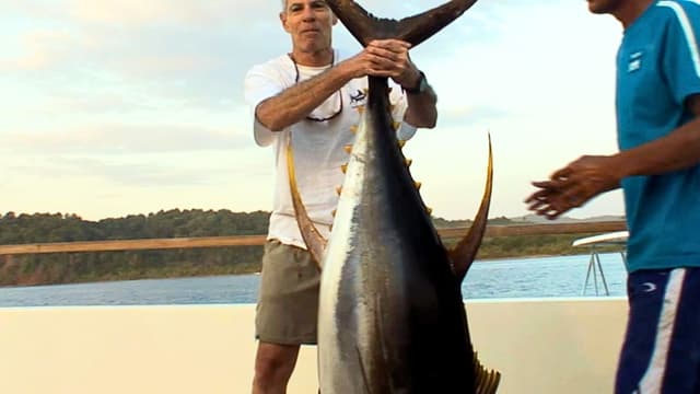 S01:E29 - Exploding Tuna Everywhere! Adventures in Panama