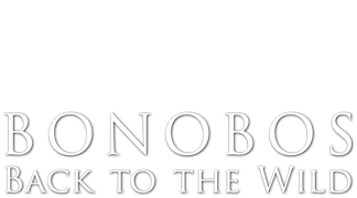 Bonobos: Back to the Wild
