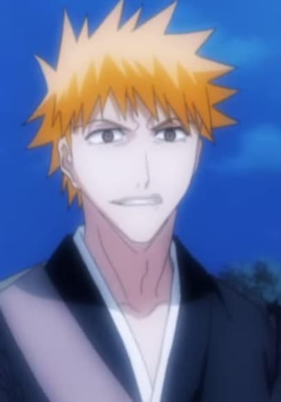 S01:E17 - Bleach 17 poster
