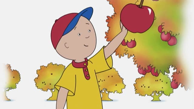 S04:E14 - Caillou Goes Shopping // Caillou Goes Apple Picking // Caillou's Halloween Costume