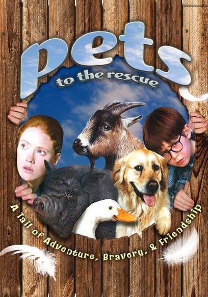 Pets
