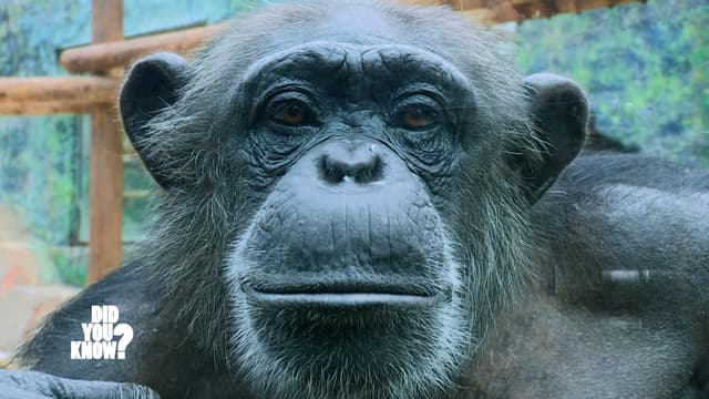 S04:E02 - Strange Reactions