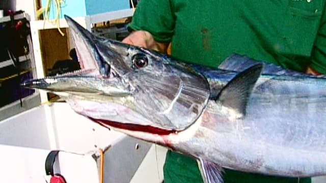 S02:E10 - Rocks to Ridges: A Fishing Voyage, Part 2