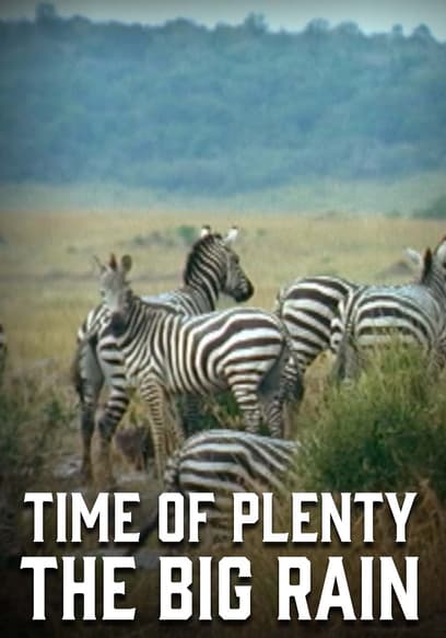 Time of Plenty: The Big Rain
