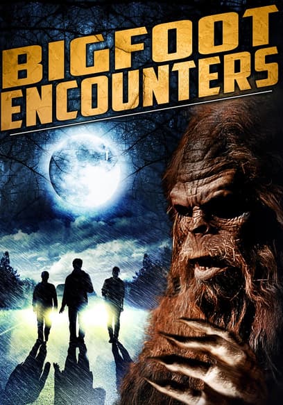 Bigfoot Encounters