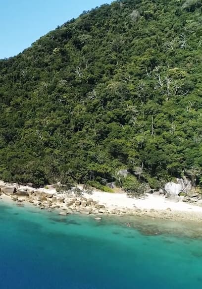 S01:E03 - Queensland: Reef to Rainforest poster