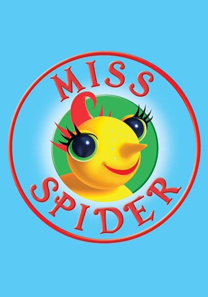 Miss Spider