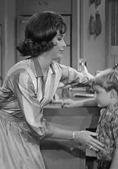 S01:E09 - The Unwelcome Houseguest poster
