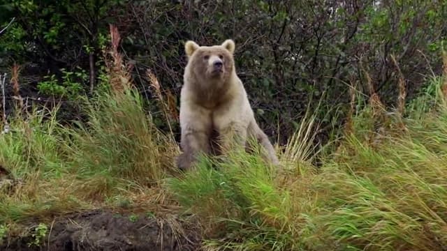 S01:E08 - Moving Targets, Killing Predators and Defense Mechanisms