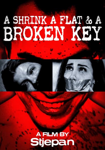 A Shrink, a Flat & a Broken Key