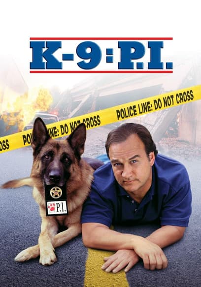 K-9: P.I.