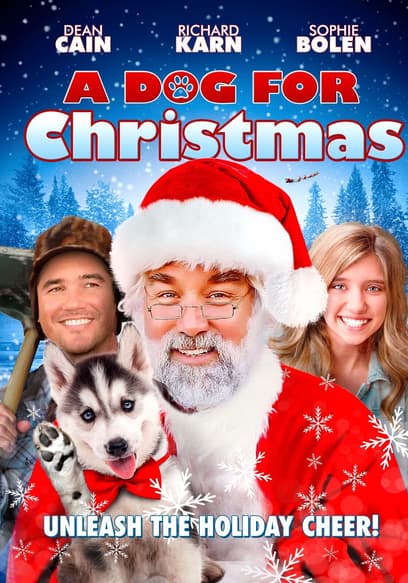 A Dog for Christmas
