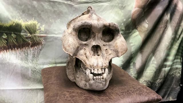 S01:E07 - Bigfoot’s Burial Ground