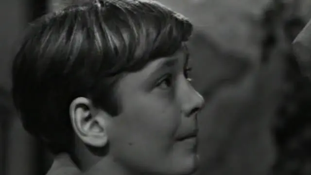 S01:E31 - Episode 241