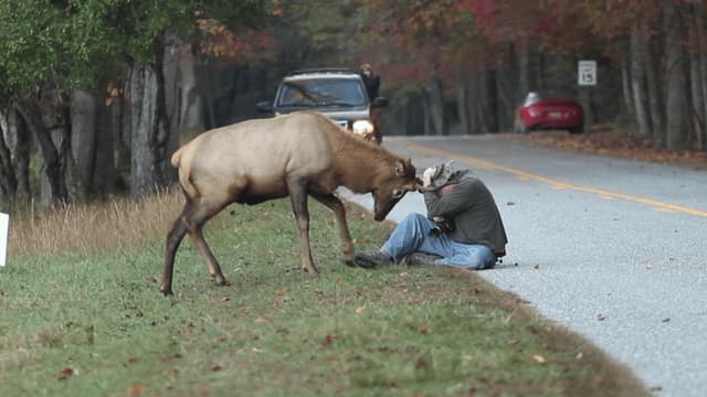 S01:E01 - The Great Catsby