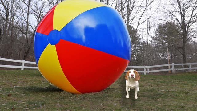 S01:E05 - Dogs, Aliens, and Oversized Toys