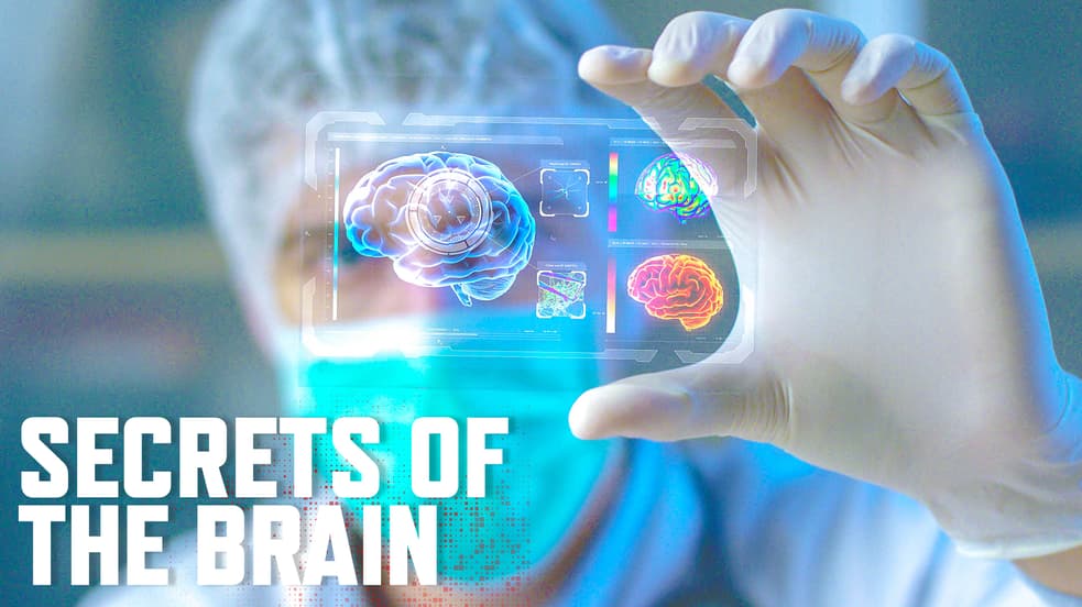 Watch Secrets of the Brain Streaming Online | Tubi Free TV