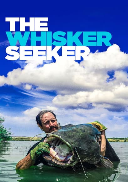 The Whisker Seeker