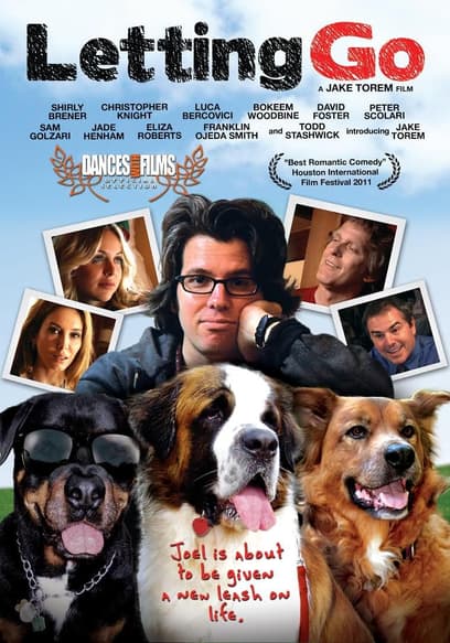 Letting Go poster