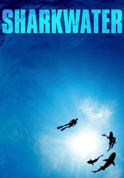 Sharkwater
