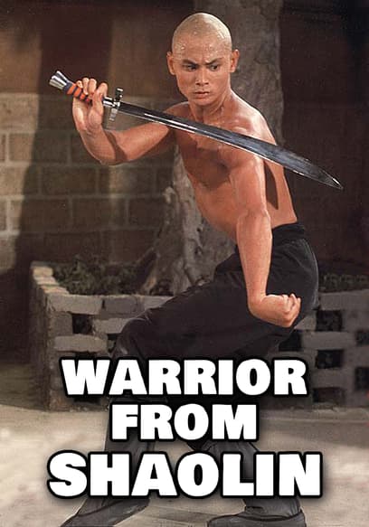 Warrior From Shaolin