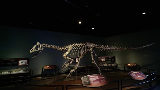 S01:E02 - Lo que se encuentra debajo