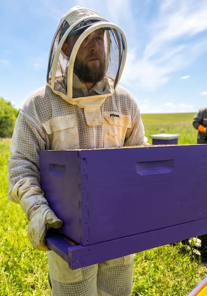 S01:E07 - Mites Are Killing Our Bees poster