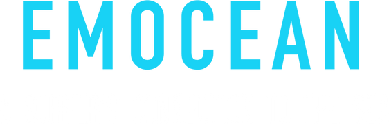 Emocean: A Surfer's Connection to the Sea