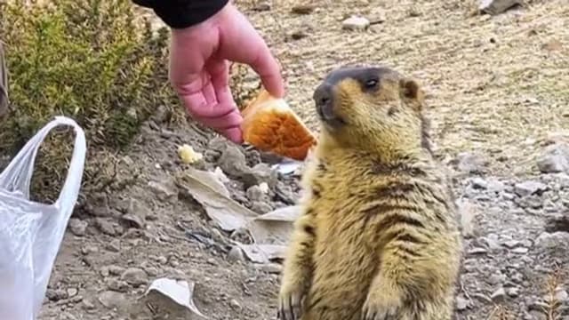 S01:E13 - Episode 13