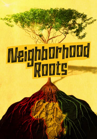 Neighborhood Roots poster