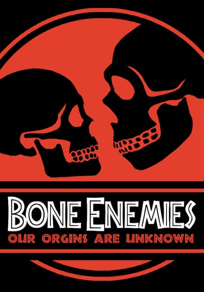 Bone Enemies poster