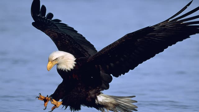 S01:E13 - Large & in Charge