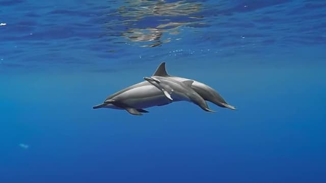 S01:E02 - Superviviencia