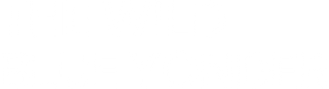 The Wild Blue Yonder