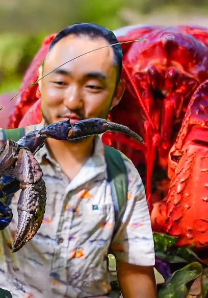 Póster de S01:E09 - Coconut Crab Hunt: We Eat One!