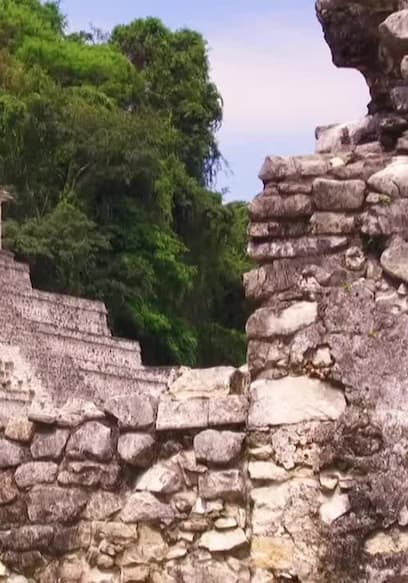 S01:E15 - Palenque poster