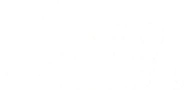 El perro que salvó las Navidades