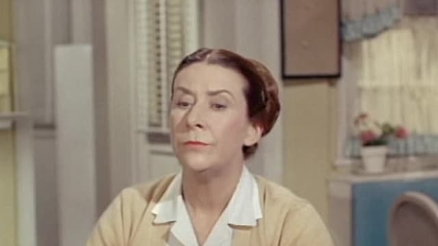 S02:E17 - A Good Example for Harold