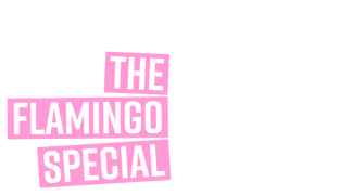 Johnny Beehner: The Flamingo Special