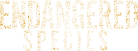 Endangered Species
