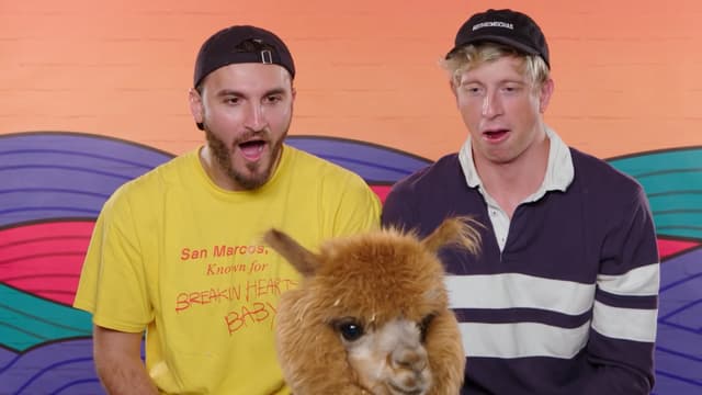S01:E14 - Vlog Squad Try Not to Fail