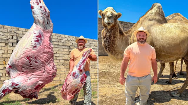 S01:E02 - A Whole 700kg Camel