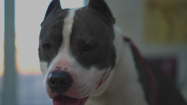 S01:E08 - George Napier: Gentle George