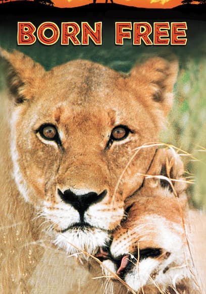 Born Free