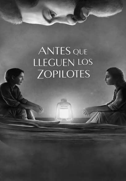 Antes que lleguen los zopilotes poster