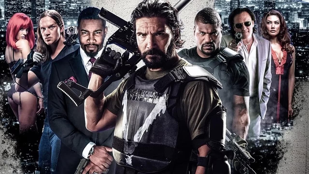 Watch Vigilante Diaries